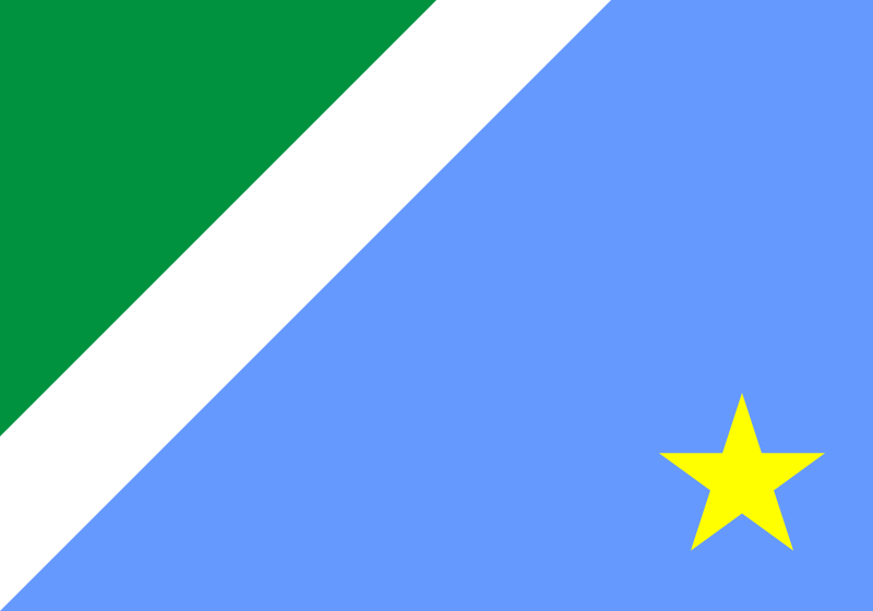 Bandeira: Mato Grosso do Sul