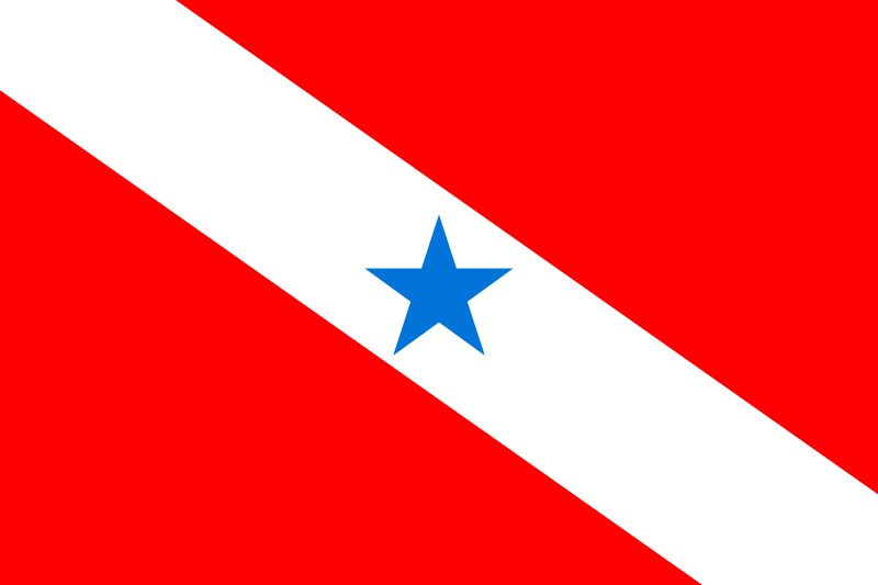 Bandeira: Pará