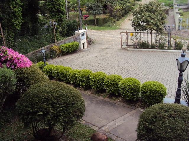 31