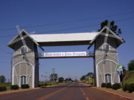 Pato Bragado