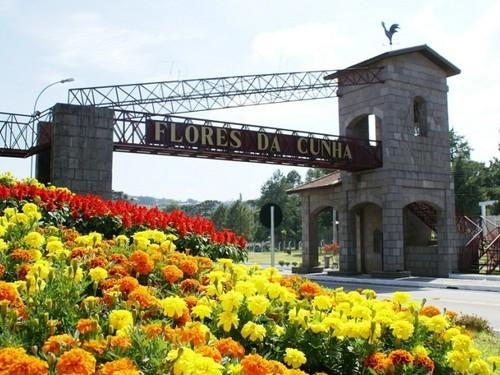 Flores da Cunha Rio Grande do Sul, História, Hospedagem, Turismo