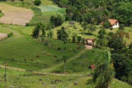 São Bonifácio