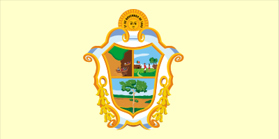 Bandeira Manaus