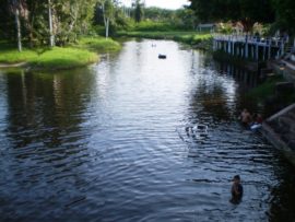 Santa Maria do Pará