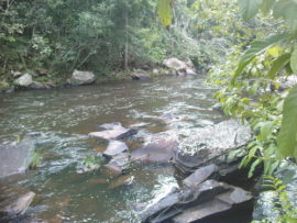 São Bento do Tocantins