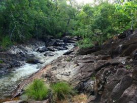 Santa Tereza do Tocantins