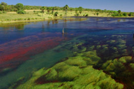 Guarani de Goiás