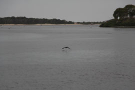 Balneário Barra do Sul