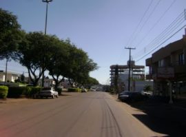 Marmeleiro