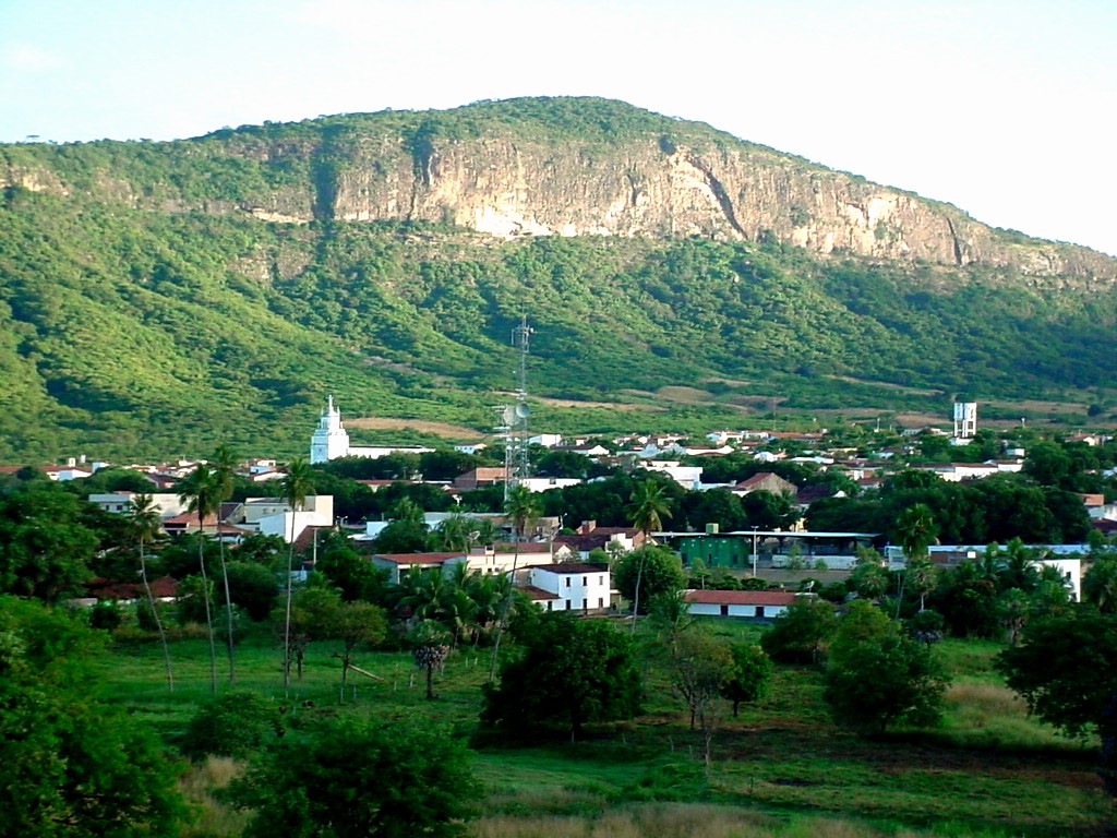 Ipu