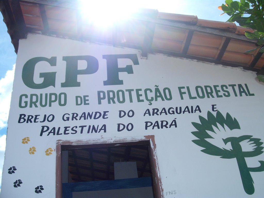 Brejo Grande do Araguaia Pará, História, Hospedagem, Turismo, Fotos