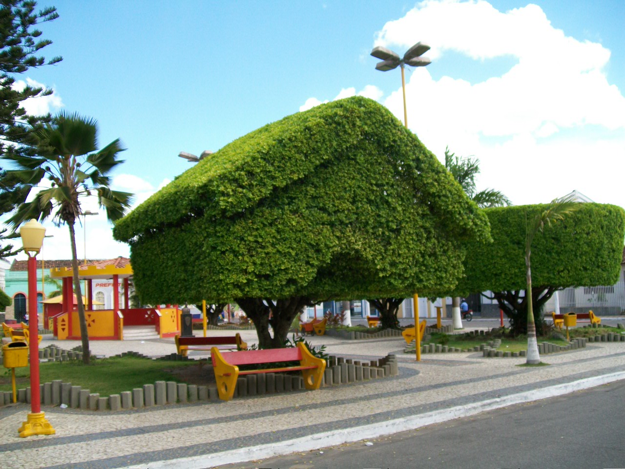 Simão Dias