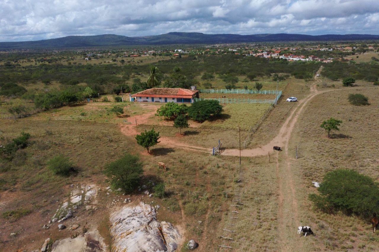 ONG da Bahia lança Projeto Quintal CO2 Free