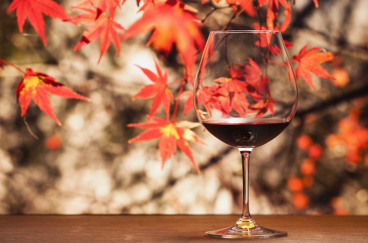 Outono: enólogo explica quais são os tipos de vinho mais indicados para serem apreciados durante esse período do ano
